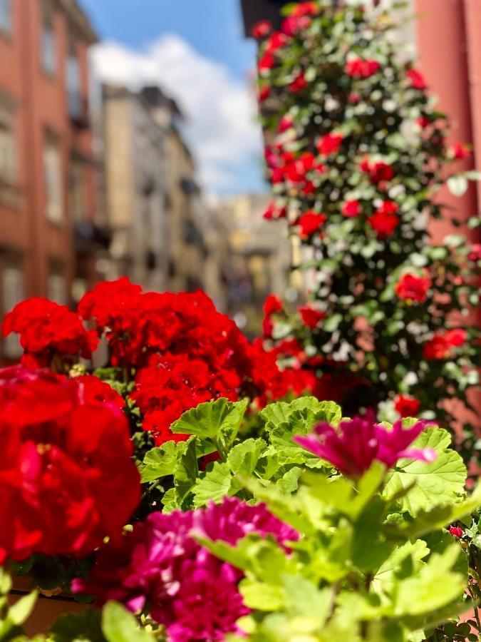 Il Sole Di Montesanto Bed & Breakfast Napoli Bagian luar foto