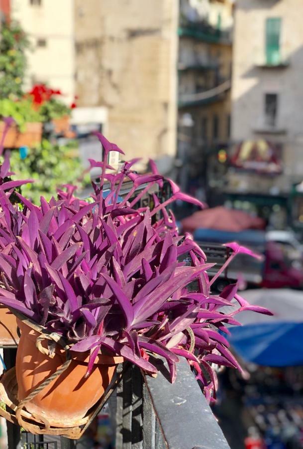 Il Sole Di Montesanto Bed & Breakfast Napoli Bagian luar foto